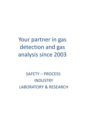 Portable Infrared Syngas Analyzer Gasboard 3100P