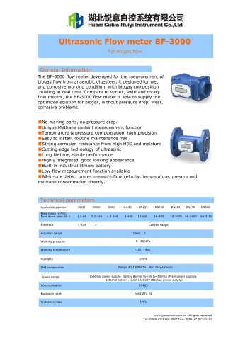 Ultrasonic flow meter BF-3000