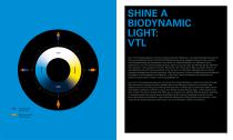 SHINE A LIGHT-12
