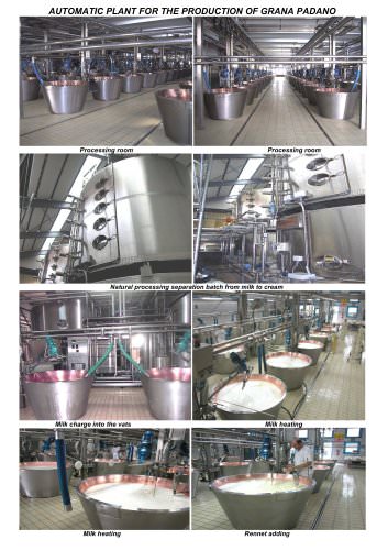 AUTOMATIC PLANT FOR GRANA PADANO CHEESE