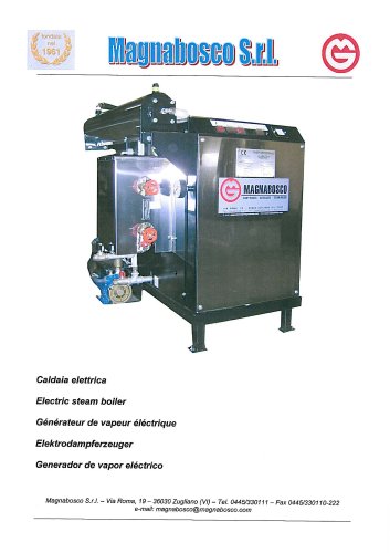 electric steam boiler