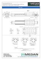 Linearzylinder Serie MTS80-2