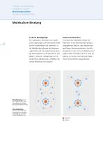 BIOLOX®delta - The Fourth Generation of Ceramics-6