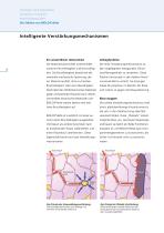 BIOLOX®delta - The Fourth Generation of Ceramics-8