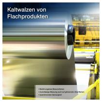 Metallflach- & Langprodukte-12