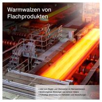 Metallflach- & Langprodukte-6