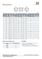 SFH Modell Datenblatt - 5