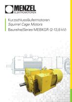 MEBKGR Serie - Hochspannung 2-13,8kV