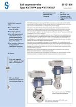 Ball segment valve