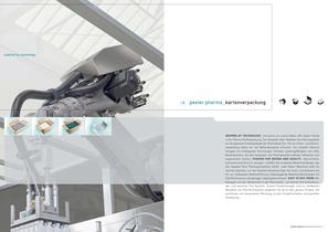 Kartonverpackung - 2