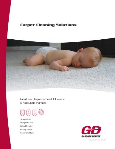 Carpet Cleaning Solutions