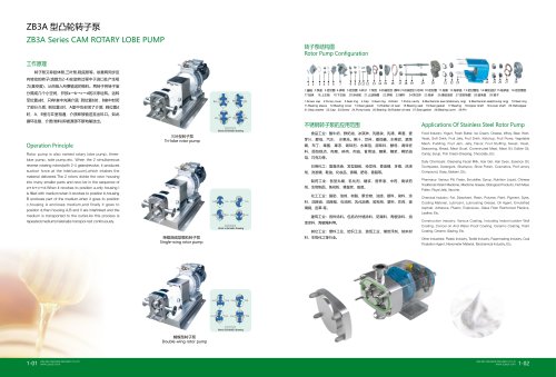 rotary lobe pump