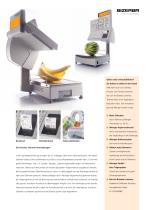 System class SC II Waagen - 3