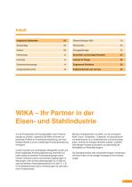 Messtechnik für die Eisen- und Stahlindustrie-3
