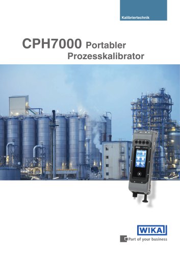 Portable process calibrator