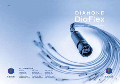 Flyer DiaFlex