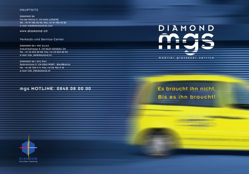 Flyer mgs Service