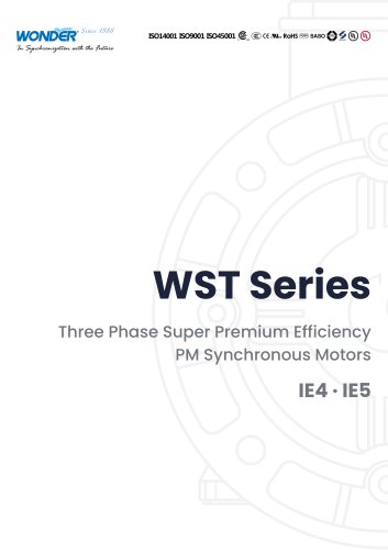 WST Series (IE5 IE4) Three Phase Super Premium Efficiency Permanent Magnet Motors