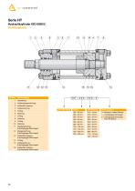 Hydraulic cylinder - 20