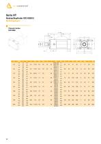 Hydraulic cylinder - 22