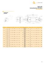 Hydraulic cylinder - 25