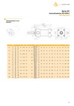 Hydraulic cylinder - 27