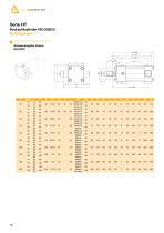 Hydraulic cylinder - 28