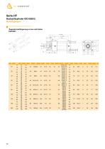 Hydraulic cylinder - 30