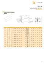 Hydraulic cylinder - 31