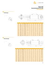 Hydraulic cylinder - 37
