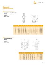Hydraulic cylinder - 39