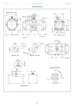 Pneumatic Actuator - 6