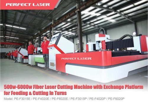 500w-6000w Fiber Laser Cutting Machine with Exchange Platform for Feeding & Cutting In Turns