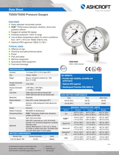 T6500 Pressure Gauge