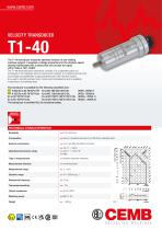 T1-40