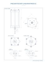 Pneumatischer Linearantrieb SC-2