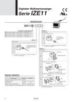 IZD10 - 6