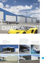 Hangartore und Große Industrietore-5