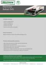 Electronic Ballast EVG