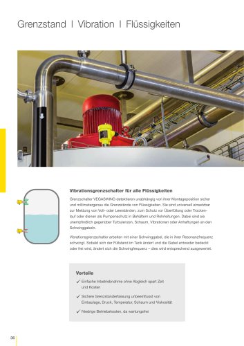 Produktkatalog: Vibration VEGASWING, VEGAVIB, VEGAWAVE (Grenzstand)
