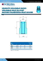 ANSCHLUSSVERSCHRAUBUNGEN FÜR HYDRAULIKZYLINDER - 2