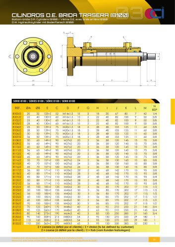 D.W. HYDRAULIKZYLINDER MIT BODENFLANSCH [8100]