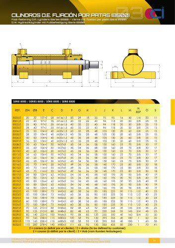 D.W. HYDRAULIKZYLINDER MIT FUßBEFESTIGUNG [8500]