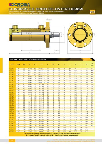 D.W. HYDRAULIKZYLINDER MIT KOPFFLANSH [8000]