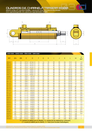 D.W. HYDRAULIKZYLINDER MIT LASCHE AM ZYLINDERBODEN [8300]