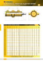 D.W. HYDRAULIKZYLINDER MIT SCHWENKZAPFEN [8200]