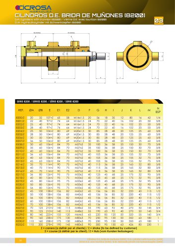 D.W. HYDRAULIKZYLINDER MIT SCHWENKZAPFEN [8200]