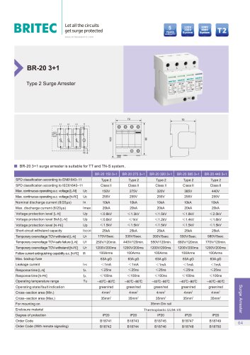 BR-20 3+1