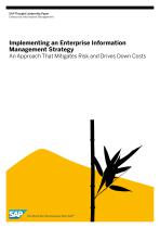 implementing-an-enterprise-information-management-strategy